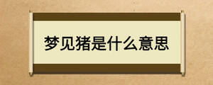 夢(mèng)見豬是什么意思