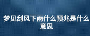 夢見刮風下雨什么預兆是什么意思