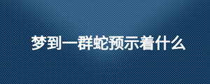 夢到一群蛇預(yù)示著什么