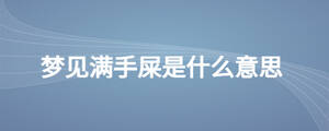 夢見滿手屎是什么意思