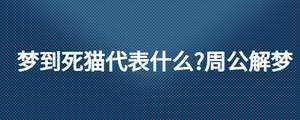 夢到死貓代表什么?周公解夢