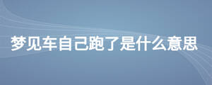 夢見車自己跑了是什么意思