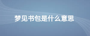 夢見書包是什么意思