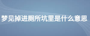 夢(mèng)見(jiàn)掉進(jìn)廁所坑里是什么意思