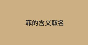消息今日資訊熱點(diǎn)新聞公眾號(hào)首圖 (1).jpg