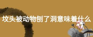 墳頭被動(dòng)物刨了洞.jpg