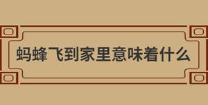 自創 (14).jpg