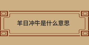 自創 (34).jpg