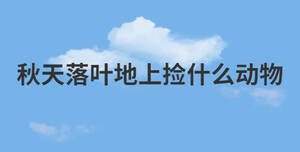 簡約藍色背景 (13).jpg