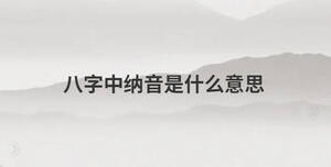 八字中納音是什么意思
