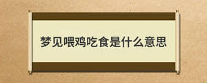 夢見喂雞吃食是什么意思