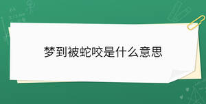 開學(xué)季 - 2022-12-01T105750.514.jpg