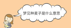 寶寶取名 - 2022-12-05T165000.953.jpg