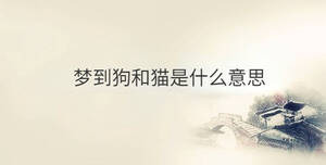 傳統(tǒng) - 2022-12-07T111837.264.jpg