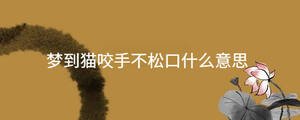 起名 - 2022-12-14T113358.379.jpg