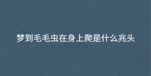 深色背景 - 2022-12-14T111138.362.jpg
