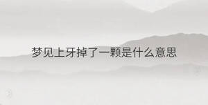 簡單 - 2022-12-27T112311.876.jpg