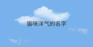簡約藍色背景 - 2023-01-07T142734.396.jpg
