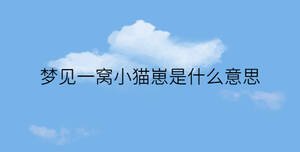 簡約藍(lán)色背景 - 2023-02-01T131903.338.jpg
