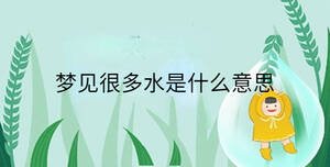 夢見很多水是什么意思