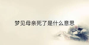 傳統(tǒng) - 2023-02-14T161551.357.jpg