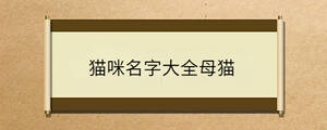 問答 - 2023-02-17T164446.571.jpg