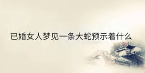 傳統 - 2023-03-27T160412.481.jpg