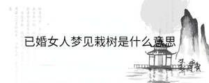 背景圖 - 2023-03-27T161733.906.jpg