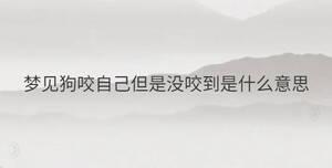 簡單 - 2023-04-28T095634.863.jpg