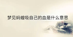 傳統 - 2023-05-05T115854.667.jpg