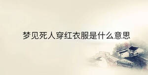 傳統(tǒng) - 2023-05-12T094814.546.jpg
