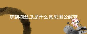 夢到摘絲瓜是什么意思周公解夢