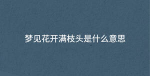 深色背景 - 2023-06-30T101802.176.jpg