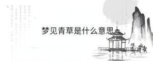 背景圖 - 2023-06-30T152503.434.jpg