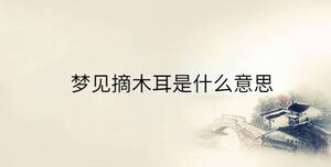 傳統(tǒng) - 2023-08-01T160641.616.jpg