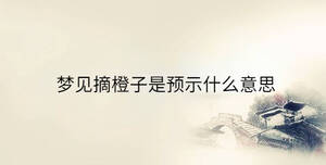 傳統(tǒng) - 2023-08-18T140159.337.jpg