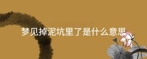 起名 - 2023-08-18T134745.725.jpg