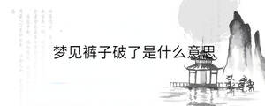 背景圖 - 2023-08-24T103100.656.jpg