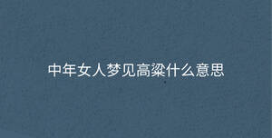 深色背景 - 2023-09-01T162447.316.jpg