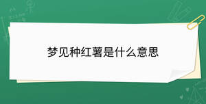 開學季 - 2023-09-08T140311.073.jpg