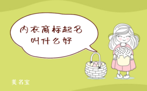 內(nèi)衣商標(biāo)起名叫什么好